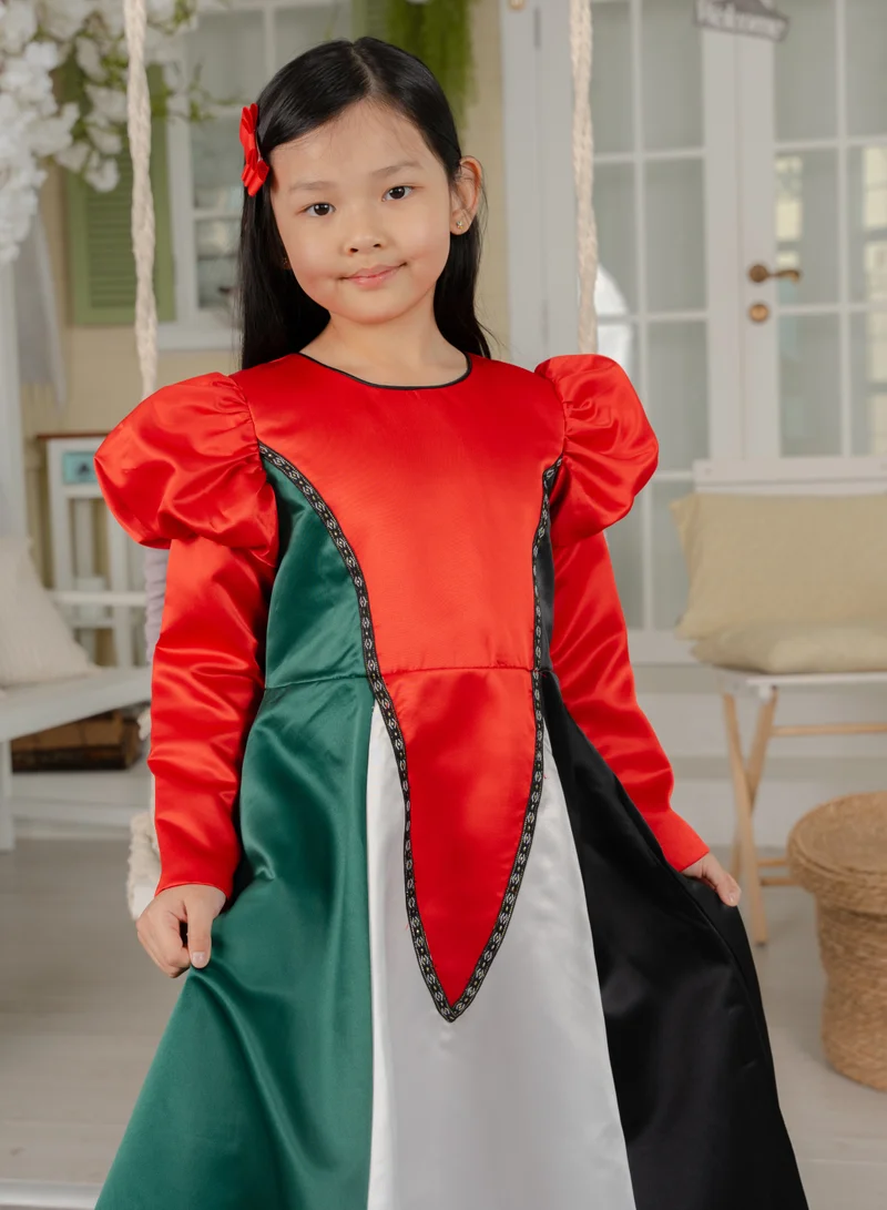 دىدانيالا Colorblocked Satin Dress