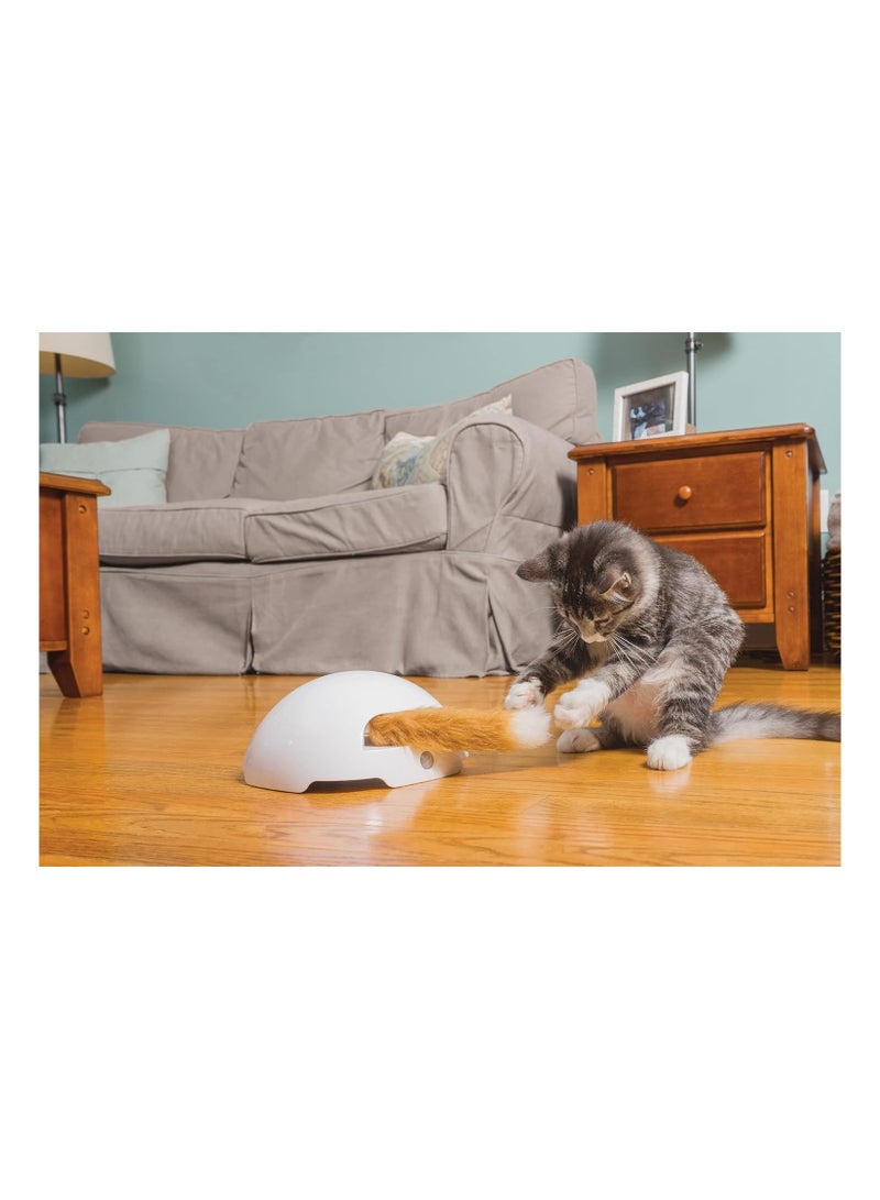 Petsafe FroliCat Fox Den Automatic Interactive Cat Teaser Toy - Image 2