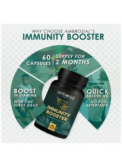 ambrosial Ambrosial Herbal Immunity Booster for Immune Support| Blend of 6 Natural Herbs| High Strength Immune System Vitamins with Amla, Ashwagandha, Giloy, Turmeric, Black Pepper & Licorice| 60 Veg Capsules  - Image 3