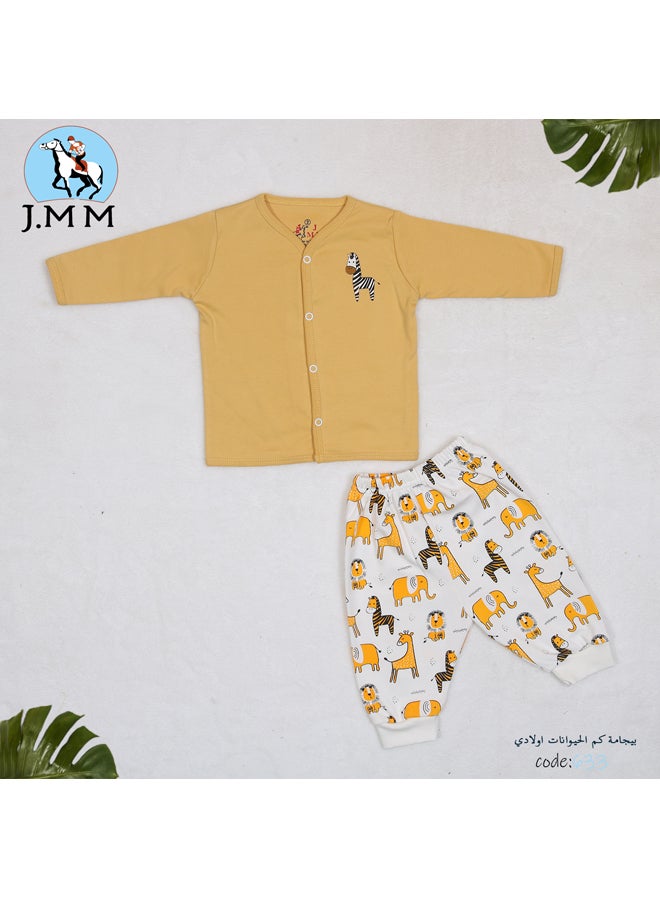 Baby Boy  Fall Pajama Set