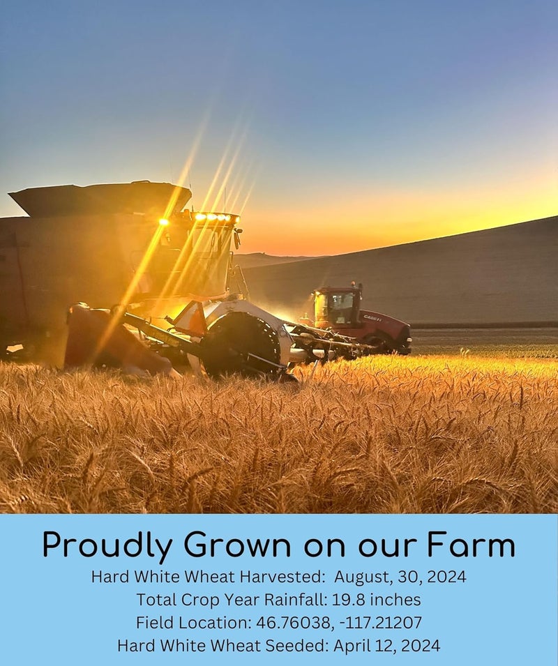 حبوب القمح الأبيض الصلب من بالوس - 5 أرطال - Image 3