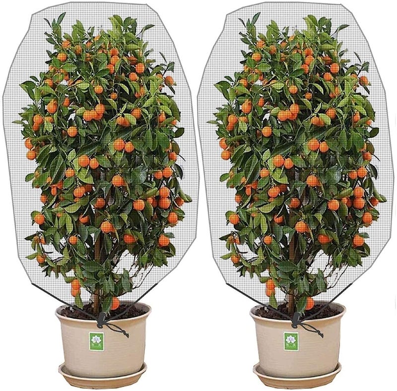 Alpurple 2 Pcs Insect Bird Barrier Netting Mesh with Drawstring- 4.9 x 3.2 Ft Garden Bug Netting Plant Cover- Fruit Tree Net for Protect Plant Fruits Citrus Flower from Insect Bird Eating - Image 1