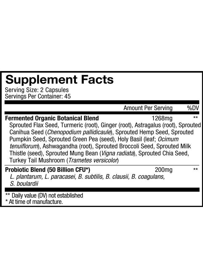 Codeage - Sbo Probiotics 50 Billion Cfus Per Serving Multi Strain Soil Based Organisms Blend And Organic Fermented Botanical Blend Shelfstable 2 Pack - Image 1