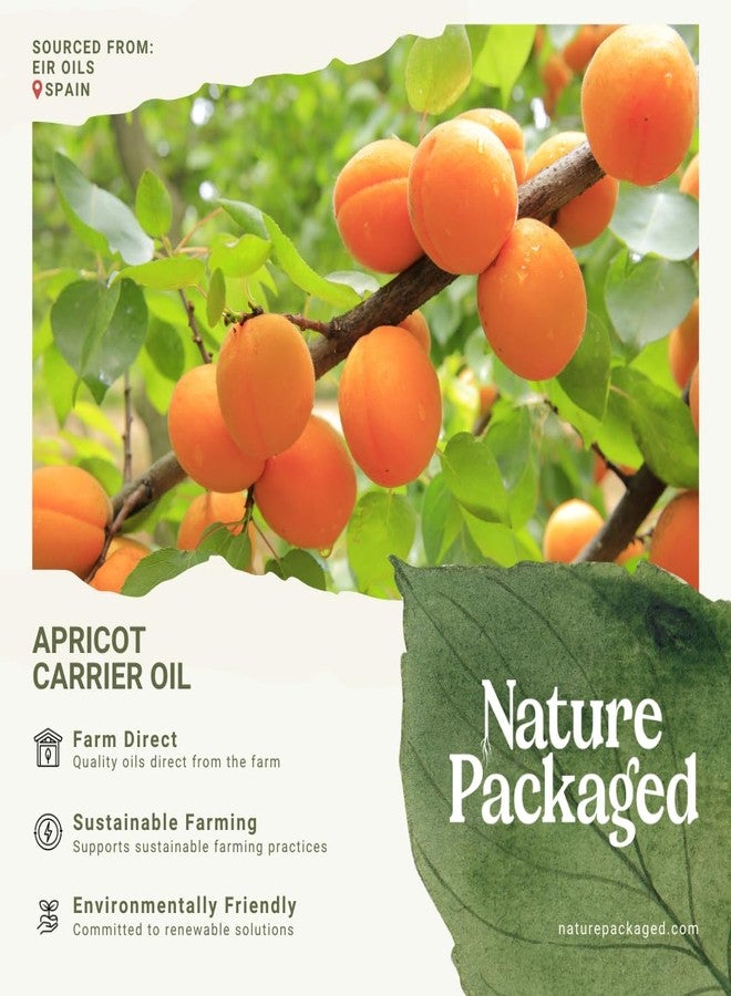 Nature Packaged Apricot Kernel Oil - Direct from Spain and Turkey - 100% Pure Carrier Oil for Hair, Face, and Skin - Cold-Pressed Carrier Oils - (16 oz) 2 Packs - Image 3