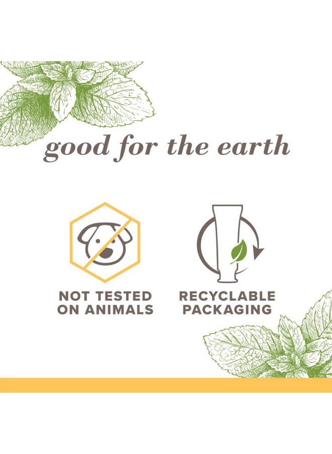 Burt's Bees Toothpaste, Natural Flavor, Fluoride-Free, Purely White, Zen Peppermint, 4.7 Oz, Pack Of 3 