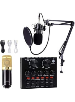 Condenser Microphone Bundle with Live Sound Card, Bm-800 Mic Kit with Adjustable Mic Arm Stand Desk for Studio Recording Broadcasting Podcasting Gaming Voc - pzsku/ZBFD2FF7464B902CB088CZ/45/_/1740643149/cc5420c2-e03b-4a2e-a8d6-eb01efaa41a4