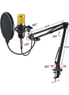 Condenser Microphone Bundle with Live Sound Card, Bm-800 Mic Kit with Adjustable Mic Arm Stand Desk for Studio Recording Broadcasting Podcasting Gaming Voc - pzsku/ZBFD2FF7464B902CB088CZ/45/_/1740643190/523c90aa-69f2-416c-8ab2-82824f578565