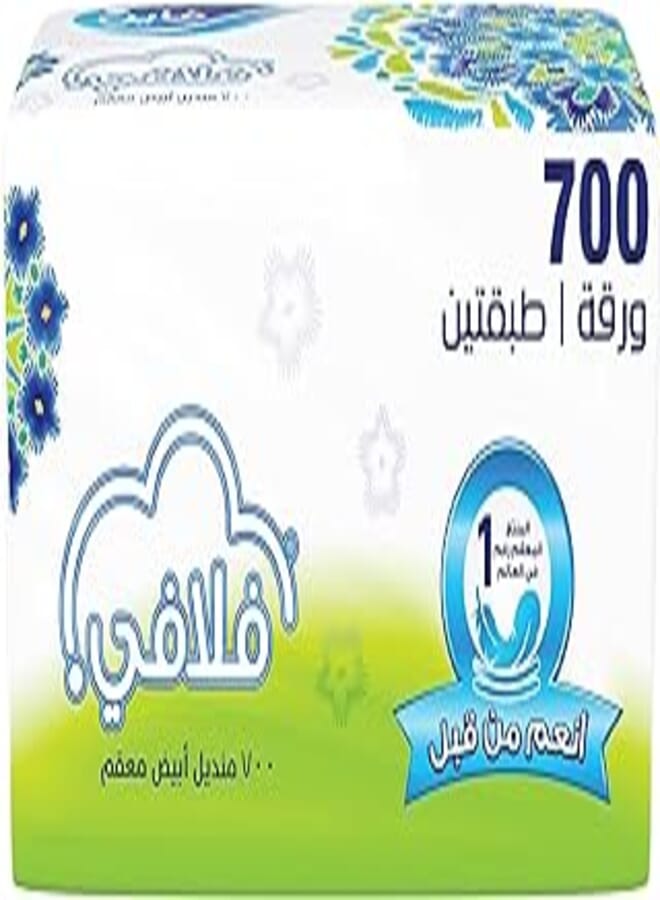 Fine Fluffy 2 Ply Facial Tissue Soft Pack, 700 Sheets 1 Pack