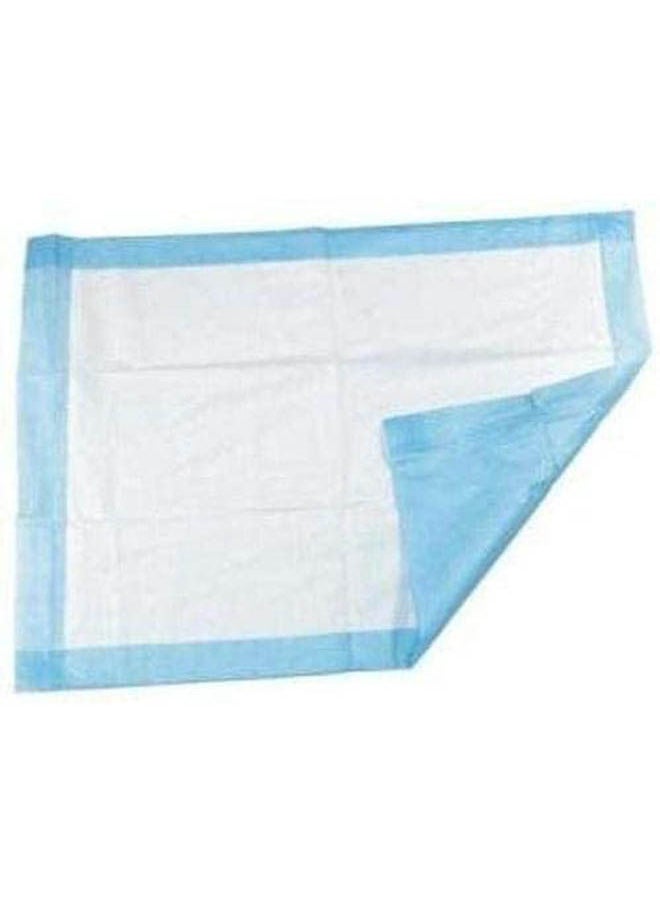 Golden Arrows - Pet Training Pads For Puppy - 60/90 cm 10 PCS - Image 1