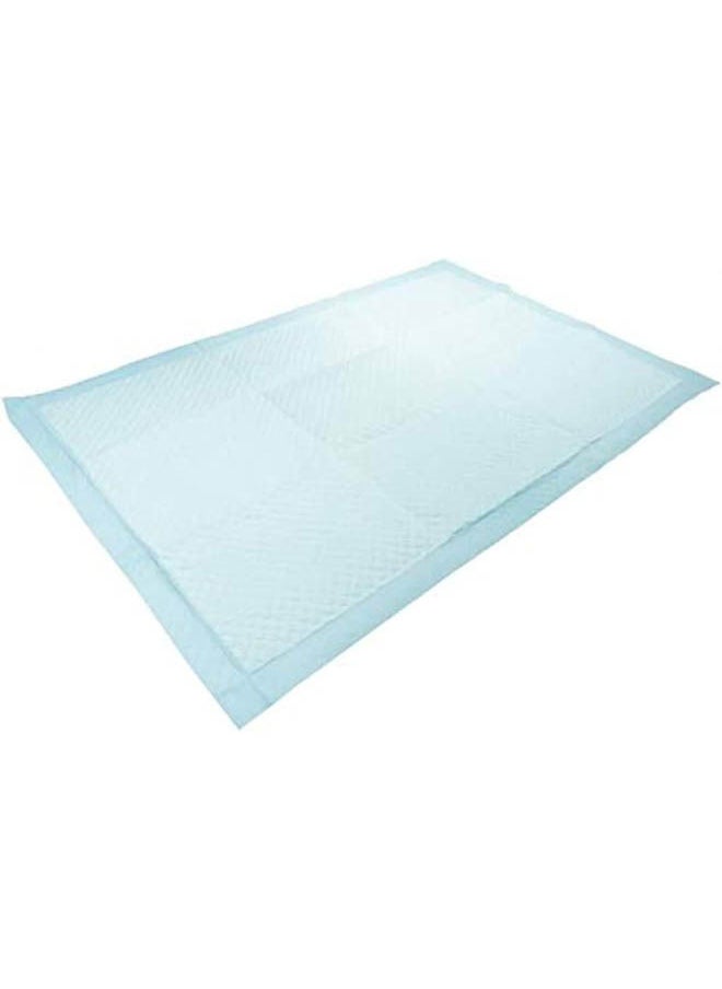 Golden Arrows - Pet Training Pads For Puppy - 60/90 cm 10 PCS - Image 1
