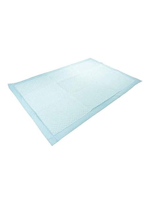 Pet Training Pads For Puppy - 60/90 cm 10 PCS