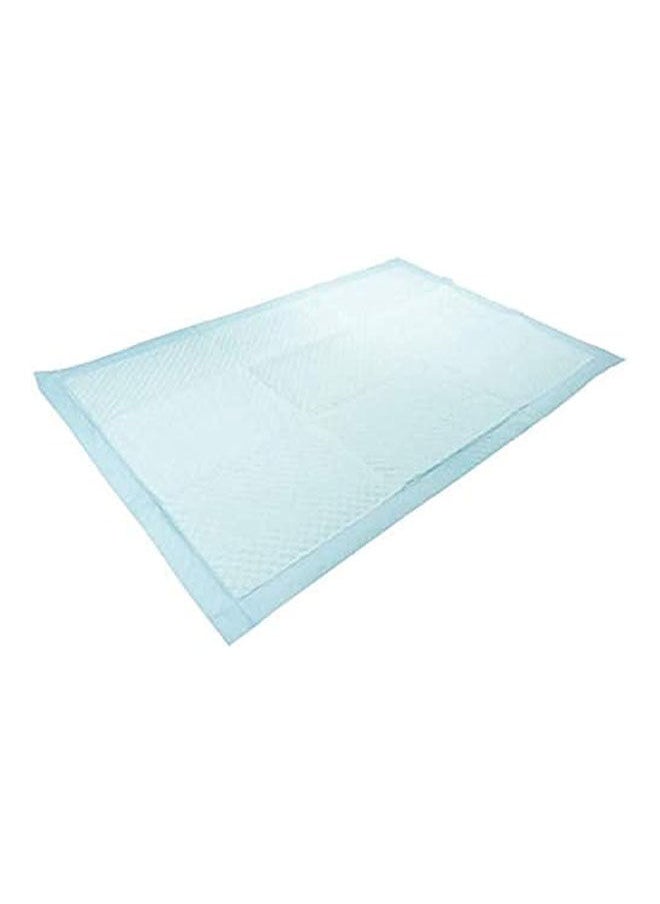 Golden Arrows - Pet Training Pads For Puppy - 60/90 cm 10 PCS - Image 1