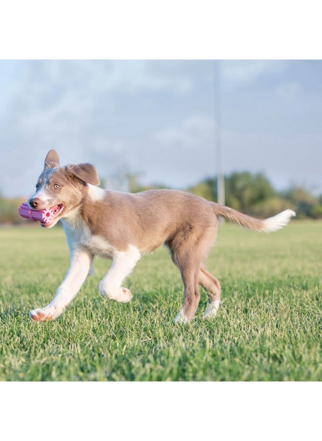 Kong - KONG Puppy Teething Stick, Gentle Chew Toy for Teething Puppies, Natural Rubber with Ridges for Sore Gums, Promotes Healthy Chewing, Stuff Dog Treats, for Crate Training, Assorted Blue/Pink, Small - Image 1