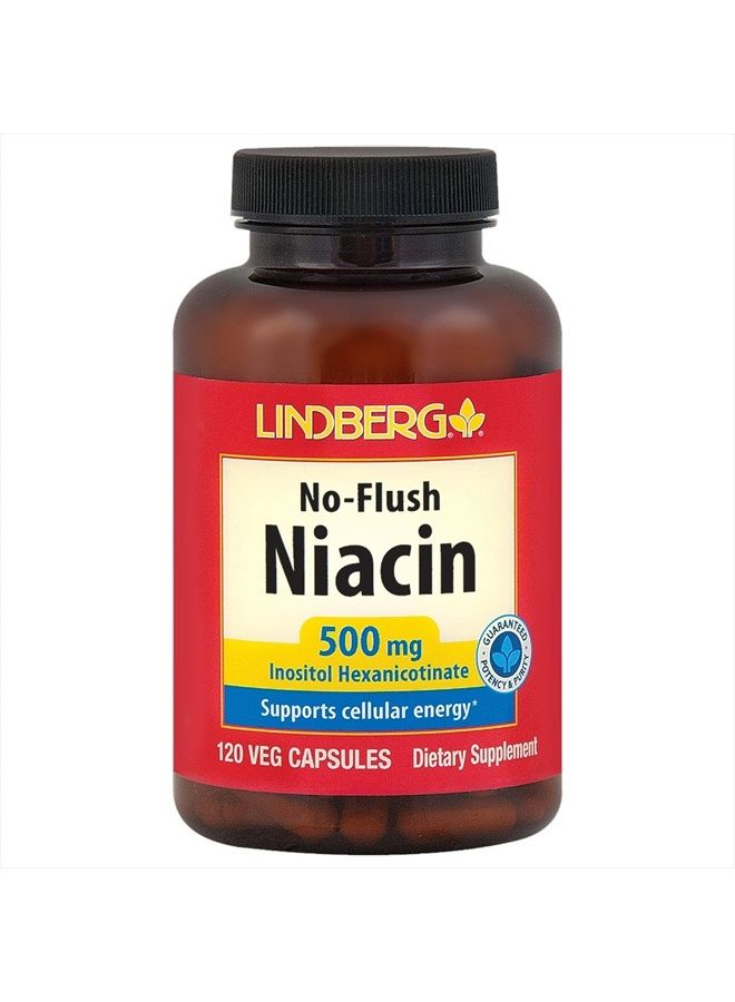 No-Flush Niacin, 500 mg Inositol Hexanicotinate (120 Capsules)