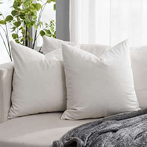 QUAFOO Cream White Couch Velvet Throw Pillow Covers 22x22 inch Set of 2 with Zipper Decorative Luxury Soft Solid Rectangle Cushion Covers Case for Sofa Bed Living Room Car - Image 1