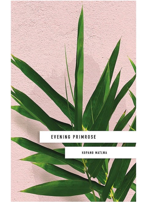 Evening Primrose: a heart-wrenching novel for our times