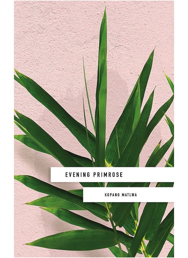 null - Evening Primrose: a heart-wrenching novel for our times - Image 1