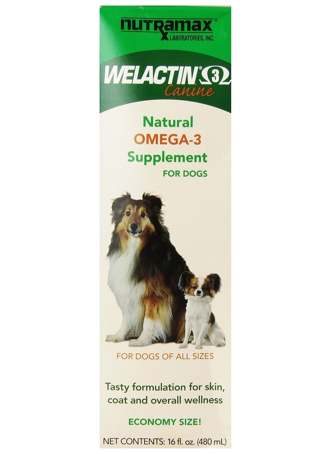 Nutramax Laboratories Nutramax Welactin Omega-3 Fish Oil Skin and Coat Health Supplement Liquid for Dogs - 16 Ounce 3 Pack 