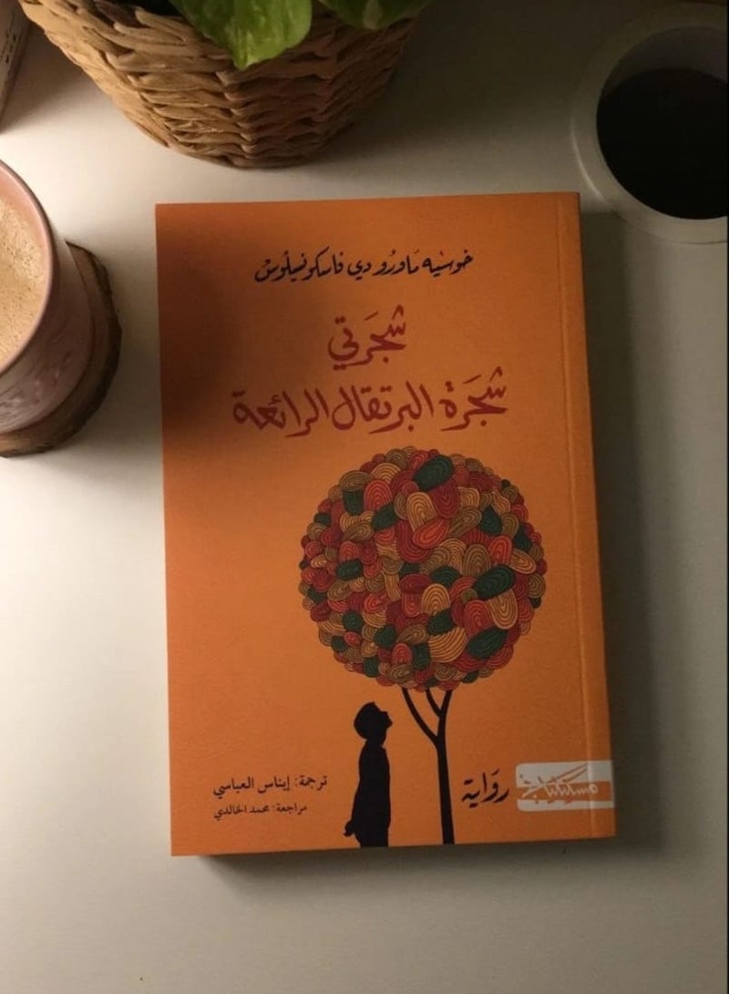 My beautiful orange tree