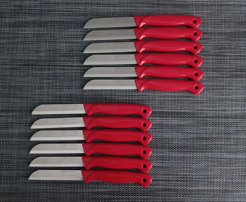 solingen Fruit Knife 12 Pcs Silvery Red