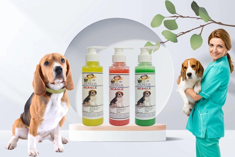 SWACCH Premium Shampoo for Beagle (200ML)(Combo Pack of 3) Lemon, Jasmine & NEEM ALOVERA - Image 2