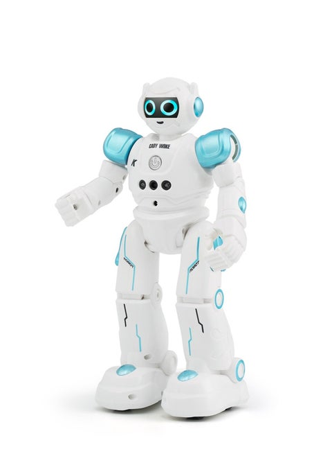 Excellent Appearance Remote Controlled Programmable Gesture Sensor Robot Rc Toy R11 27.5x16x9cm