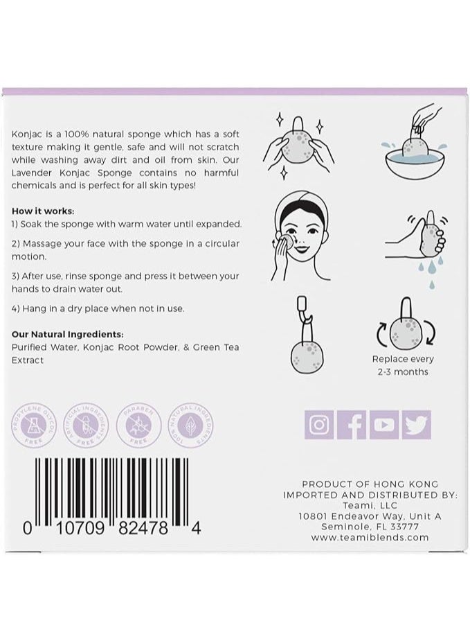 Teami Tea Infused Konjac Sponge (Lavender) - Image 2