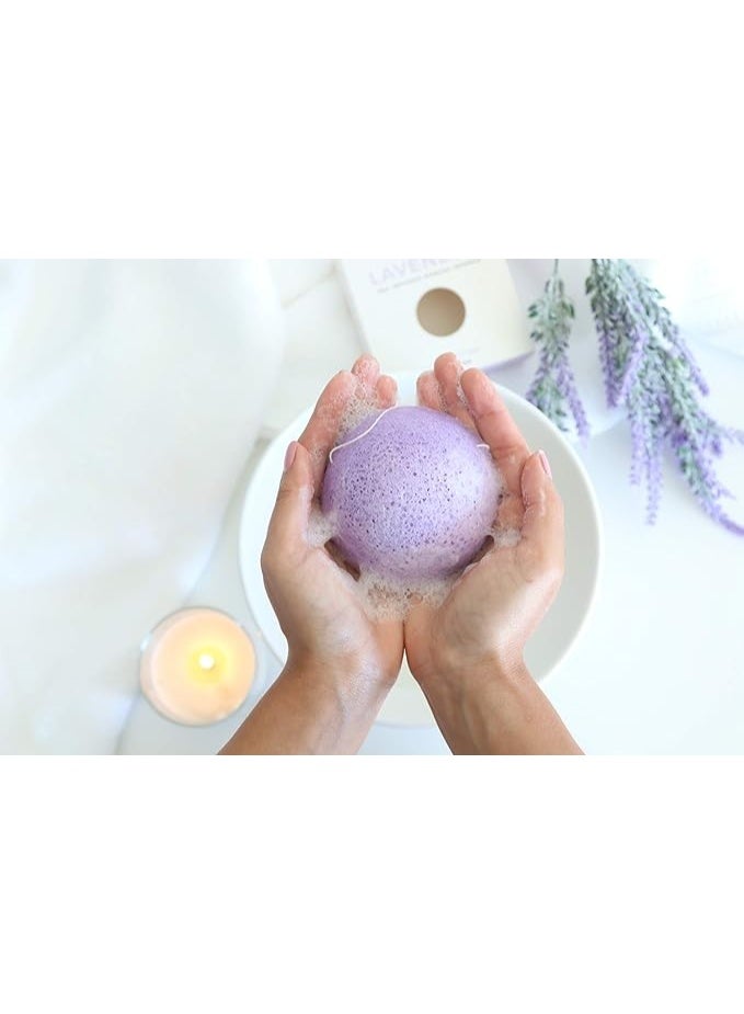 Teami Tea Infused Konjac Sponge (Lavender) - Image 4