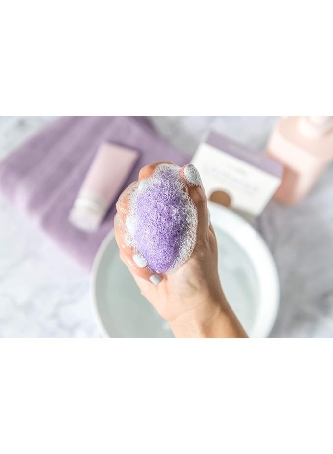 Teami Tea Infused Konjac Sponge (Lavender) - Image 5