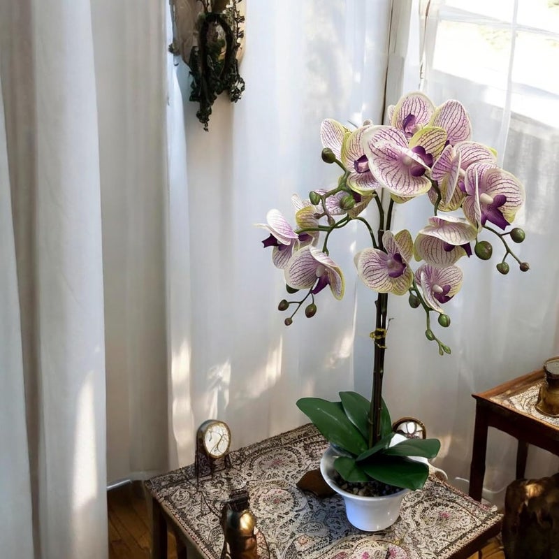 FOX & FERN FOX FERN Artificial Orchid Flowers in Ceramic Pot with 2 Stems 4 Flower Sticks Orchid Bonsai Faux Phalaenopsis Plant Ht 53CM White - Image 1