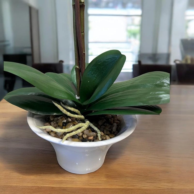 FOX & FERN FOX FERN Artificial Orchid Flowers in Ceramic Pot with 2 Stems 4 Flower Sticks Orchid Bonsai Faux Phalaenopsis Plant Ht 53CM White - Image 5