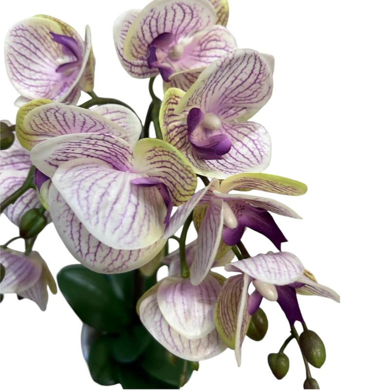FOX & FERN FOX FERN Artificial Orchid Flowers in Ceramic Pot with 2 Stems 4 Flower Sticks Orchid Bonsai Faux Phalaenopsis Plant Ht 53CM White - Image 3
