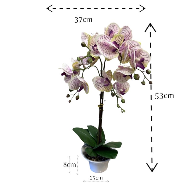 FOX & FERN FOX FERN Artificial Orchid Flowers in Ceramic Pot with 2 Stems 4 Flower Sticks Orchid Bonsai Faux Phalaenopsis Plant Ht 53CM White - Image 2