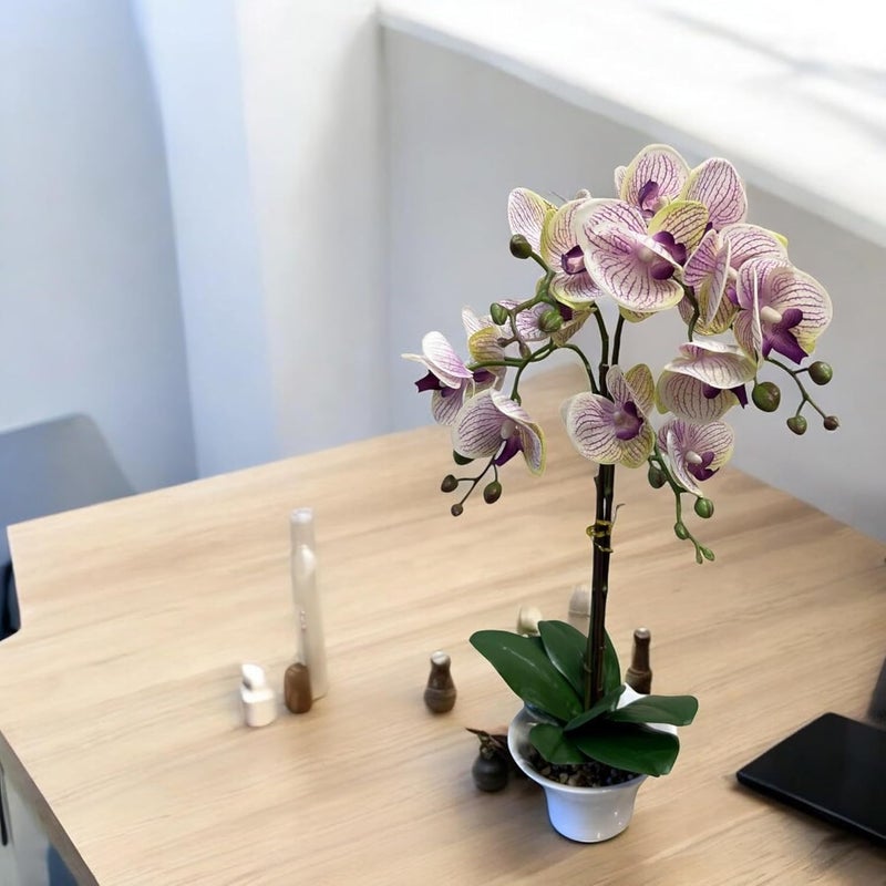 FOX & FERN FOX FERN Artificial Orchid Flowers in Ceramic Pot with 2 Stems 4 Flower Sticks Orchid Bonsai Faux Phalaenopsis Plant Ht 53CM White - Image 4