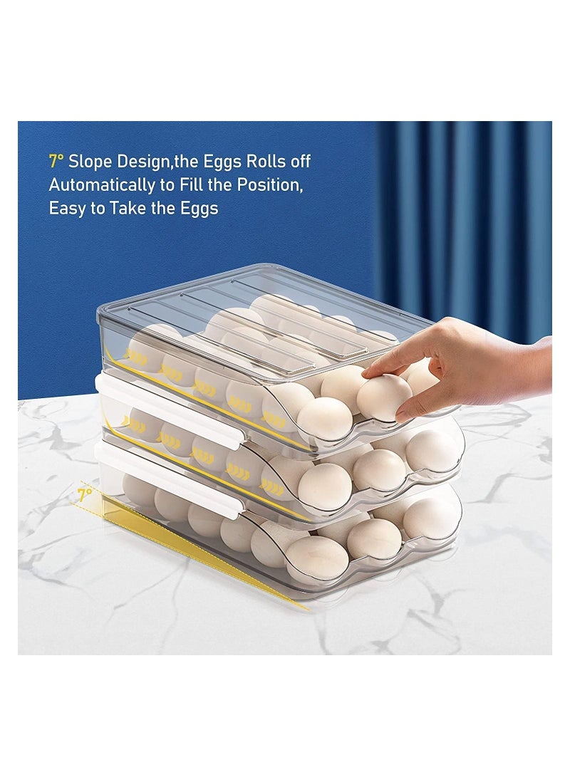 حامل بيض سعة كبيرة للثلاجة ، صندوق تخزين البيض للثلاجة ، صندوق منظم لحاوية تخزين البيض ، حاوية تخزين بلاستيكية شفافة (طبقتان) - Image 4