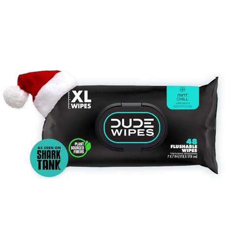DUDE Wipes - Flushable Wipes Stocking Stuffers - 1 Pack, 48 Count - Mint Chill - Vitamin-E, Aloe, Eucalyptus & Tea Tree Oils - Septic and Sewer Safe - Image 1
