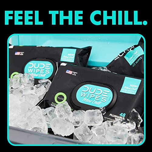 DUDE Wipes - Flushable Wipes Stocking Stuffers - 1 Pack, 48 Count - Mint Chill - Vitamin-E, Aloe, Eucalyptus & Tea Tree Oils - Septic and Sewer Safe - Image 4