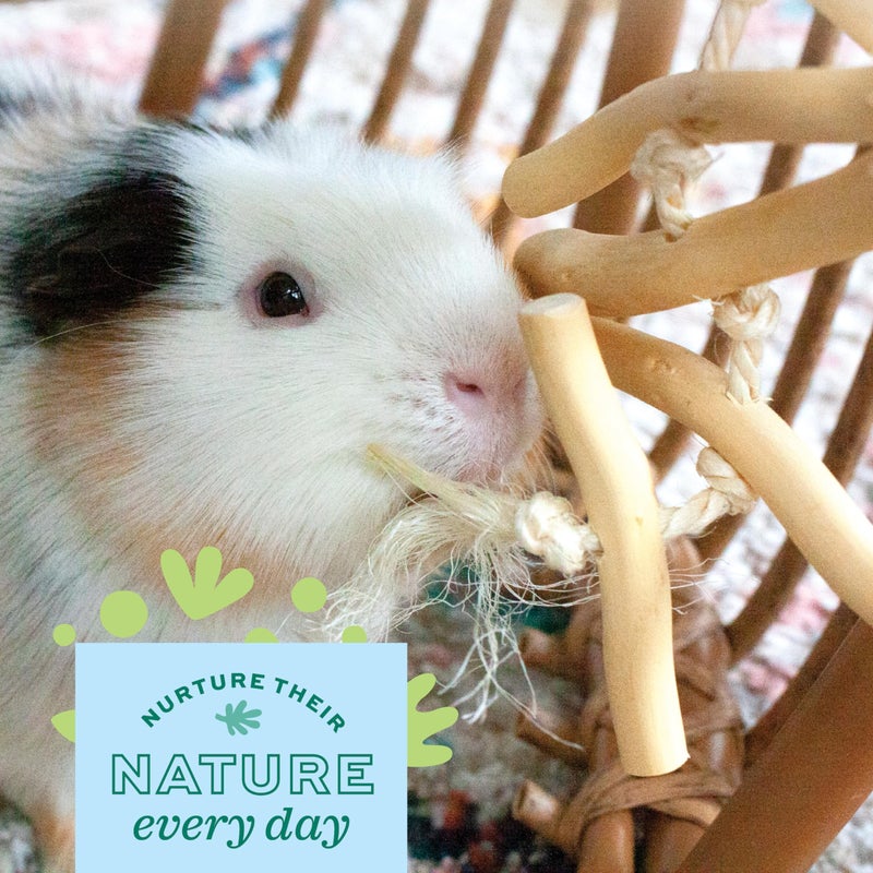 Oxbow Enriched Life Natural Dangly Party Pack, Rabbit Toys, Guinea Pig Toys, Enrichment for Bunny, Guinea Pig, Hamster Stuff, Rabbit Enrichment, Chinchilla, Rat, Chinchilla Cage Accessories - Image 4