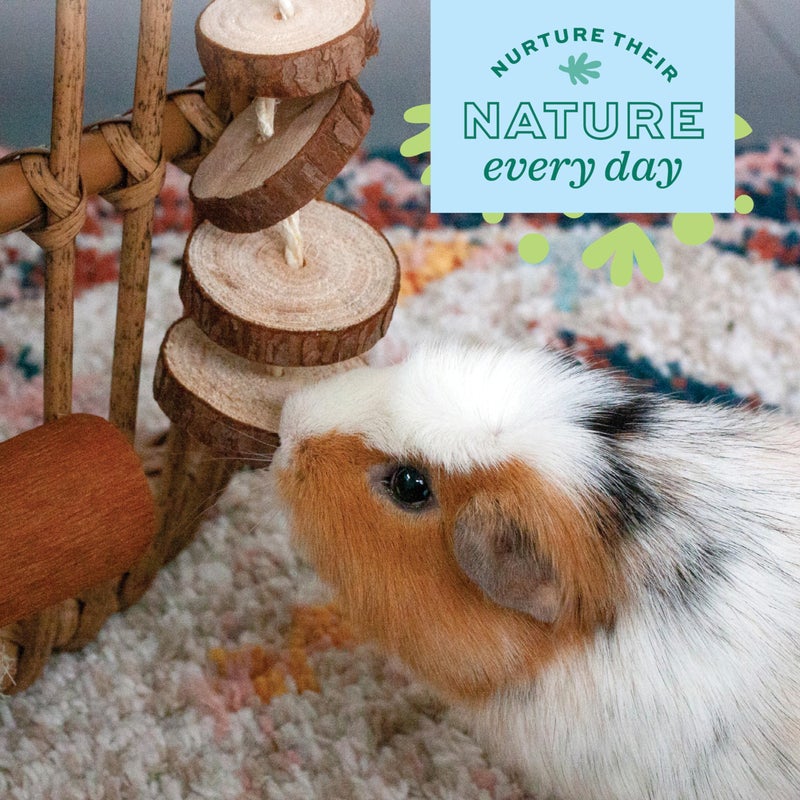 Oxbow Enriched Life Natural Dangly Party Pack, Rabbit Toys, Guinea Pig Toys, Enrichment for Bunny, Guinea Pig, Hamster Stuff, Rabbit Enrichment, Chinchilla, Rat, Chinchilla Cage Accessories - Image 5