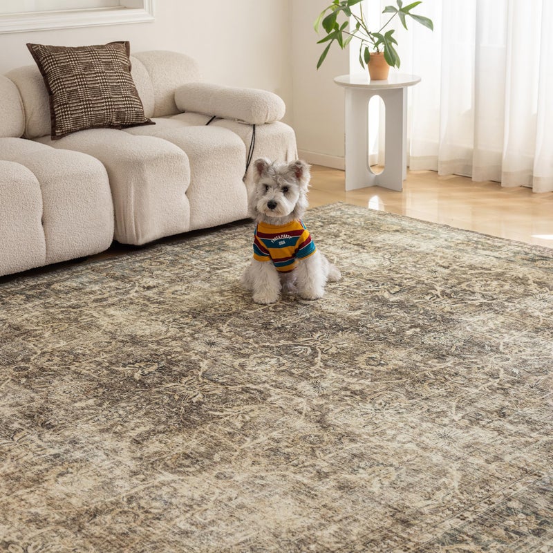 FMFUNCTEX 8x10 Washable Area Rug Brown Vintage Neutral Distressed Large Non Slip Carpet for Living Room Bedroom Soft Low Pile Indoor Mat Retro Floral Throw Rug for Dining Room Kitchen Office Nursery - Image 3