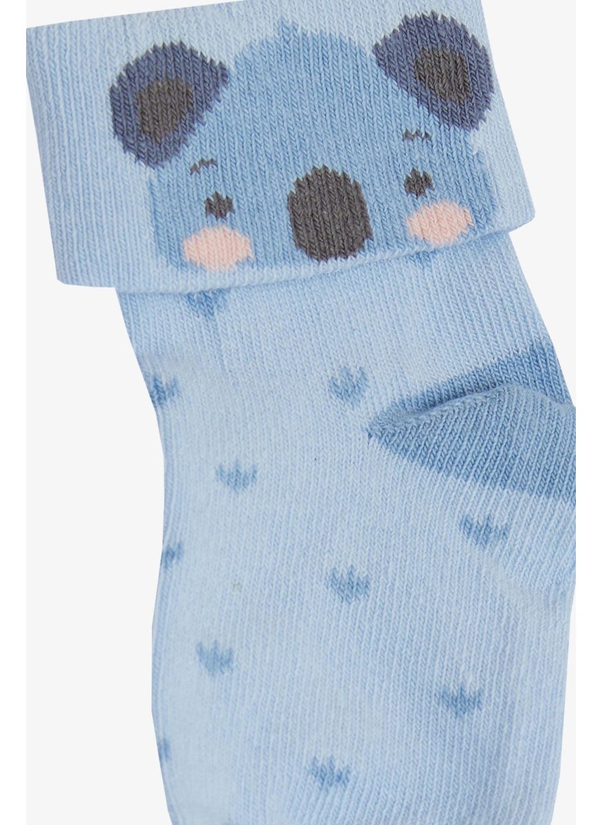 Baby Boy Socks 2-Piece Cute Koala Printed 0-24 Months, Blue - pzsku/ZBFE68E6706CE3AB6131CZ/45/_/1734344168/b5ea46fe-4bc7-4414-8df8-6eda1486ce05