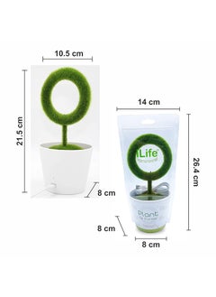 iLife iLife Air Purifier HEPA Home Removes Smoke Mini Allergens No Filter Needed  - Image 3