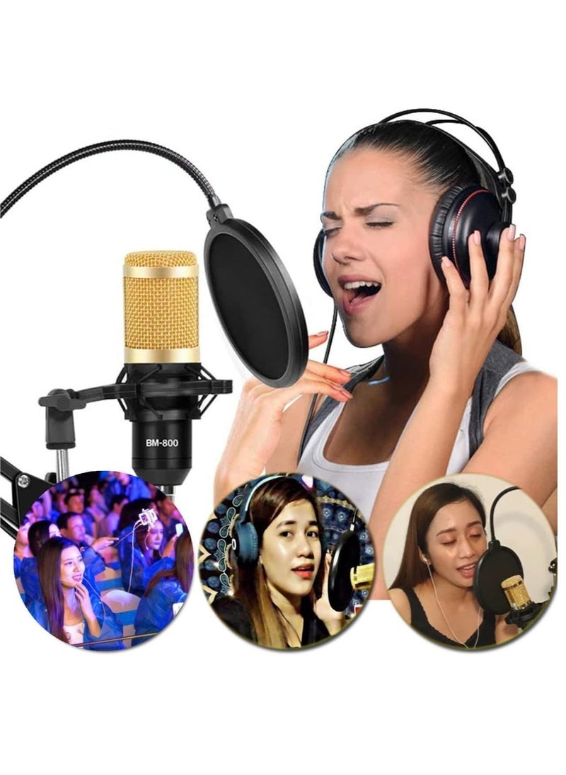 V8S Sound Card Upgraded VM-800 Condenser Microphone Set for Live Streaming Karaoke And Voice Recording Recording Sound Card, Voice Changer Device With Multiple Funny Sound Effect USB Audio Interface - Image 3