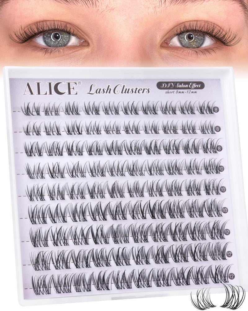 ALICE Natural Short Lash Clusters Invisible Band Wispy Eyelash Clusters 8-12mm Cluster Eyelash Extensions Lash Extensions DIY Individual Lashes - Image 1