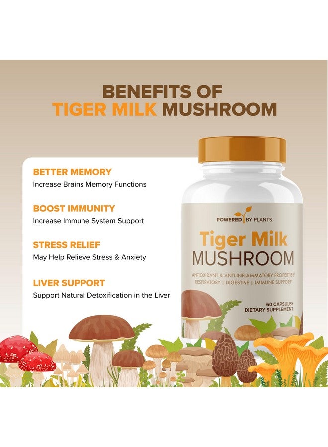 Tiger Milk Mushroom Supplement 500mg (Lignosus Rhinocerus) | Supports Lungs & Respiratory Health - Herbal Extract - Lung Respiratory Immune Support | Non-GMO, Vegan, Organic | 60 Servings - Image 2