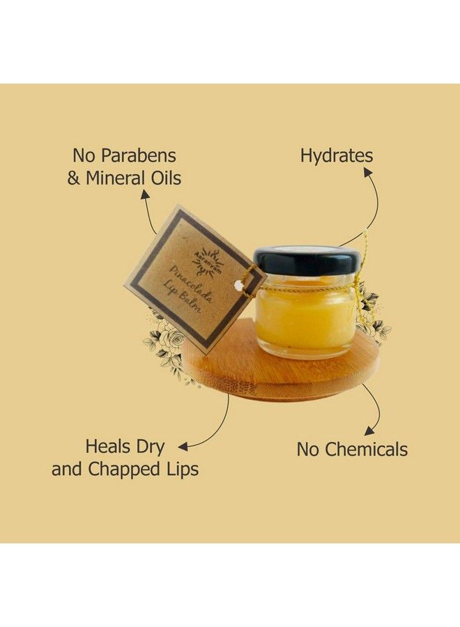 Aaranyam Organic ; Pina Colada Lip Balm For Men & Women Heals And Repairs Lasting Moisture Sun Protection & Nourishes 75 G - Image 4