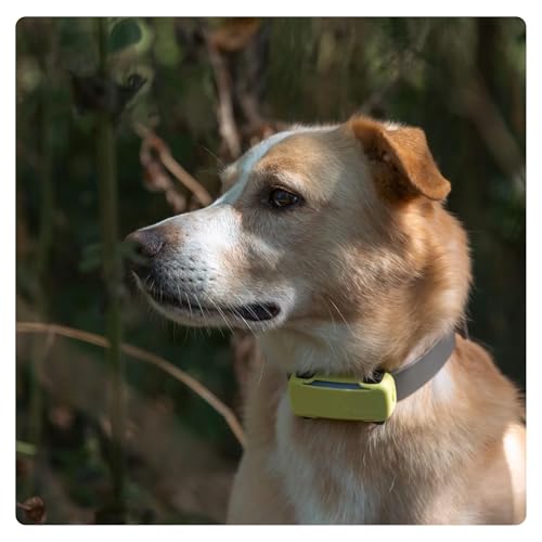 Tractive GPS Dog 6 Tracker Cover - Yellow - Image 3