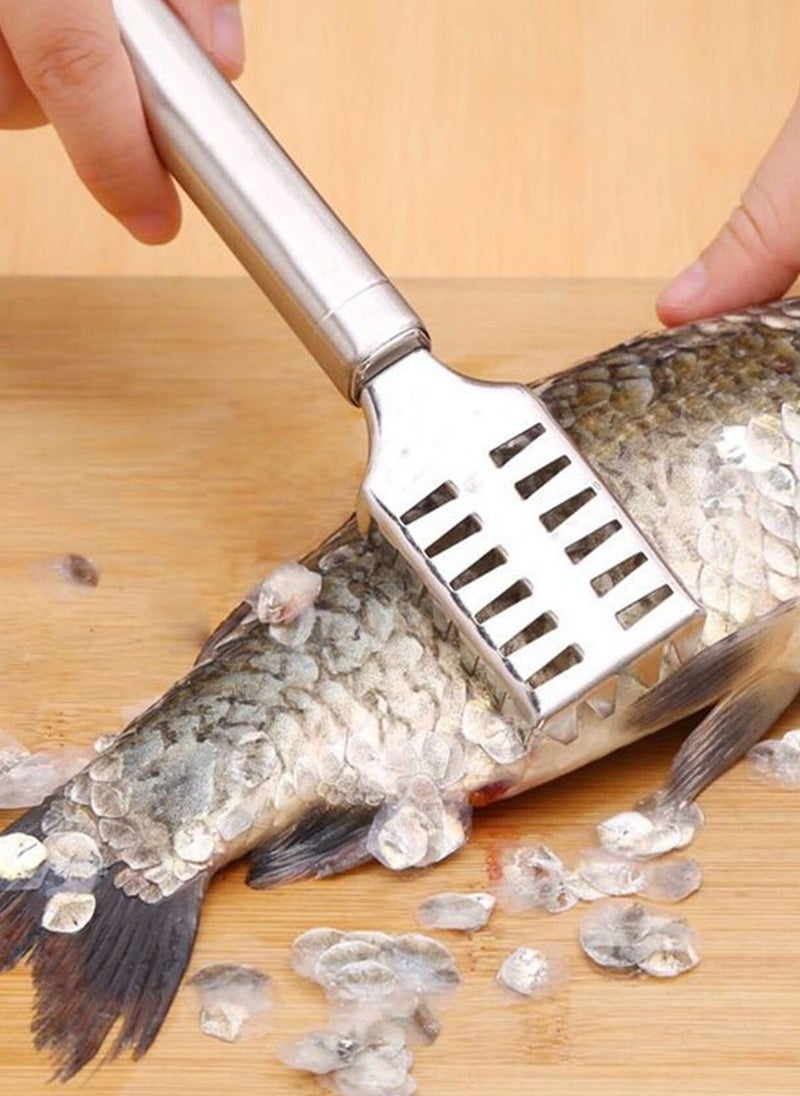 1pcs Stainless Steel Fish Scaler & Peeler Set for Kitchen