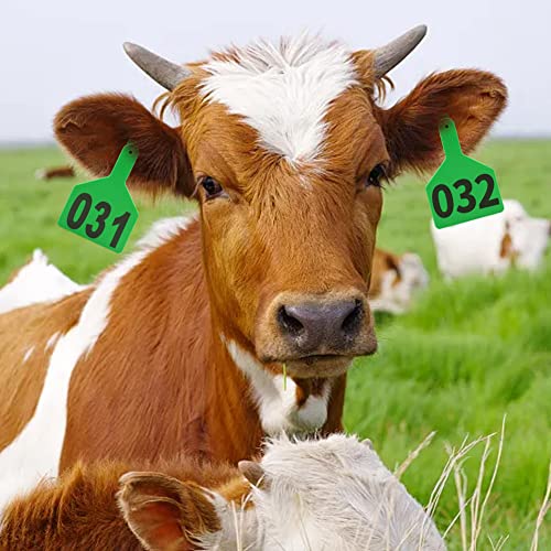 APlayfulBee Z Tags One-Piece Cattle Ear Tags 001-050 Number TPU Large Size Animal Identification Tags for Cows, Hogs, Sheep (Green) - Image 5