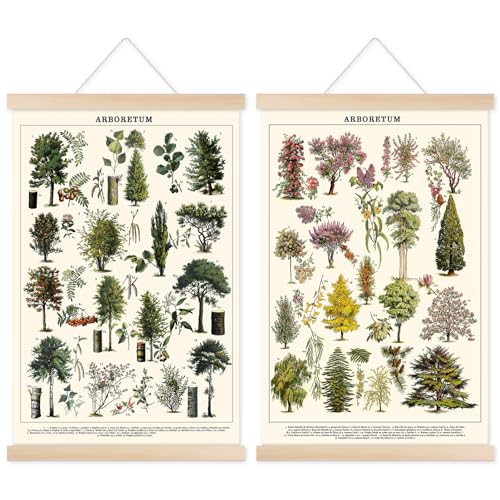 Chenkaiyang Vintage Tree Poster 2 Pcs Green Tree Wall Art Prints Rustic Retro Tree Chart Living Room Decor - Image 1